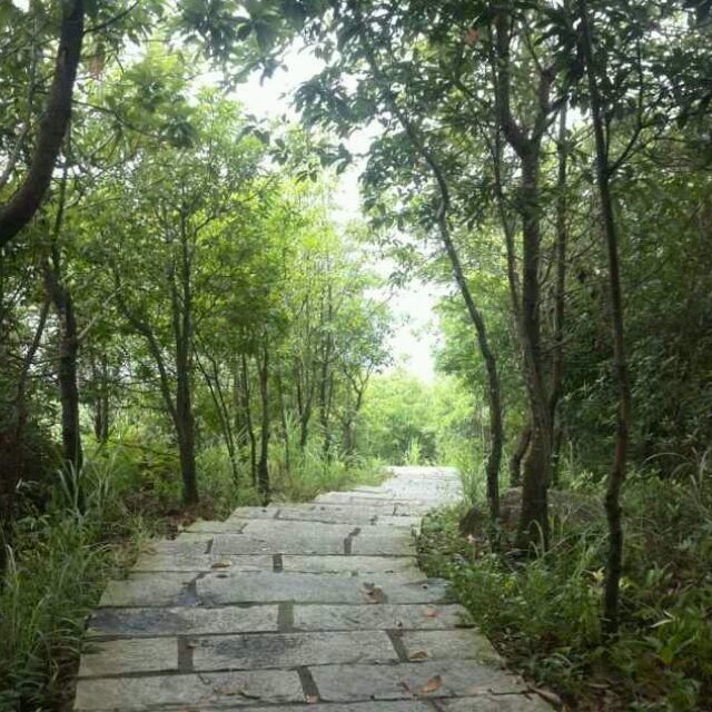 個人頭像照片